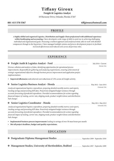 Profesjonalny szblon CV Traditional